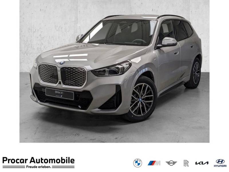 BMW iX1 xDrive30 LM18 M Sport ESitz Innov.Pak. HUD