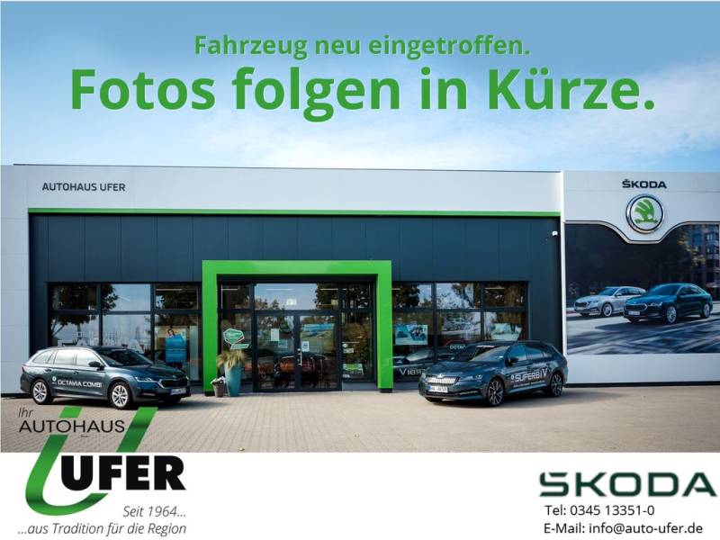 Skoda Octavia Combi Selection Lodge Licht and SichtPlus 