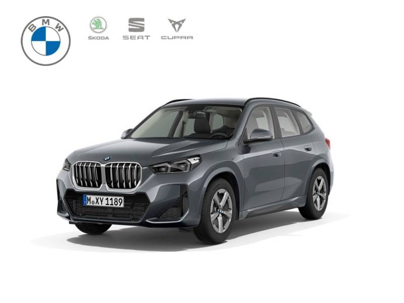 BMW X1 xDrive23i M Sport*RFK*AHK*Keyless*HandK*Aktivsi