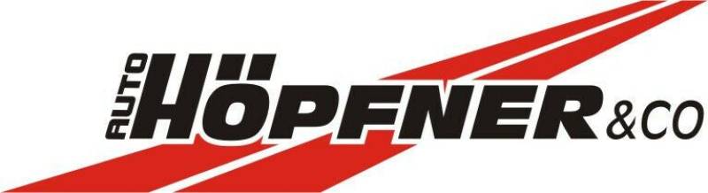 Volkswagen Golf VIII 1.5 TSI R-Line Black Style / 18" / RFK