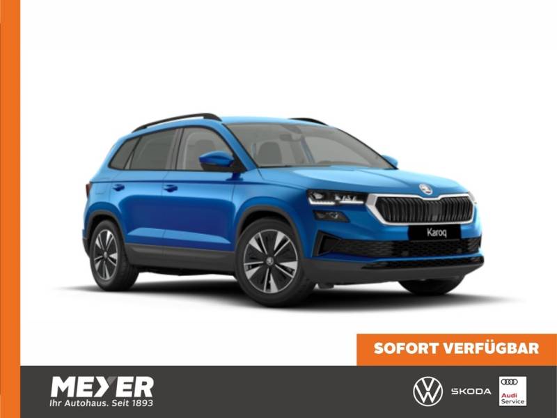 Skoda Karoq Tour 1.5 TSI DSG *AHK, 17" LM-Felge, Navi,