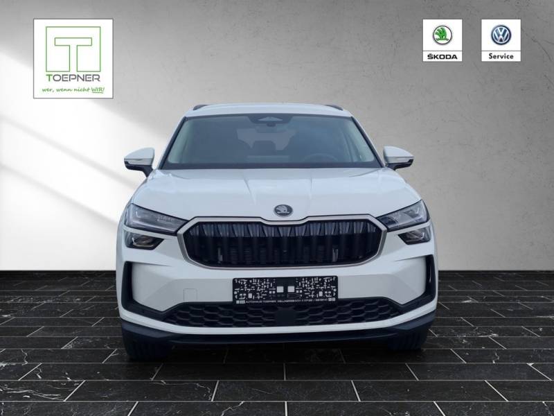Skoda Kodiaq Selection 2,0 TDI 4x4 AHK LichtandSicht 19"