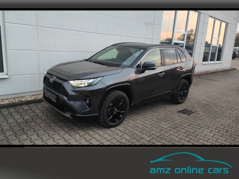 Toyota RAV 4 2.5 Style MJ25 Smart Entry*Leder*Totwinkel