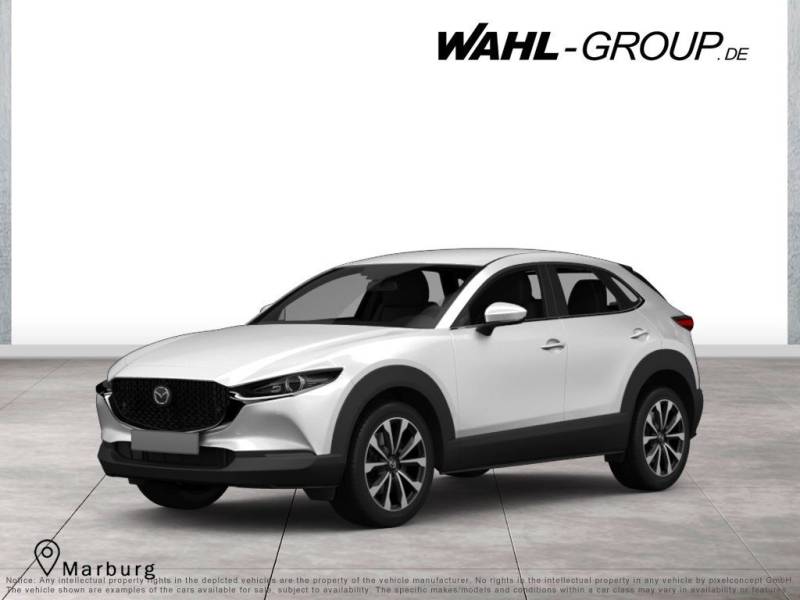 Mazda CX-30 2,5 e-SKYACTIV-G 140 M Hybrid Homura 2WD A