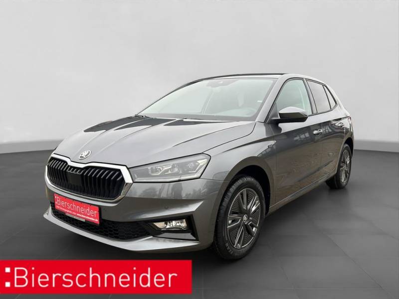 Skoda Fabia 1.5 TSI DSG Tour NAVI ACC WINTER KAMERA AN