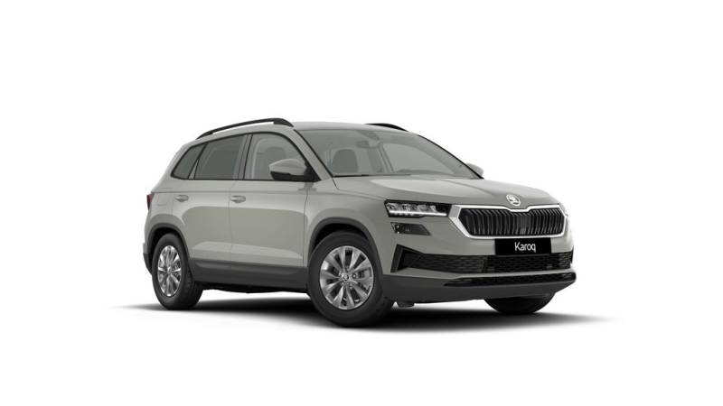 Skoda Karoq Selection RFK-LED-Carplay-Klima-PDC-SHZ...