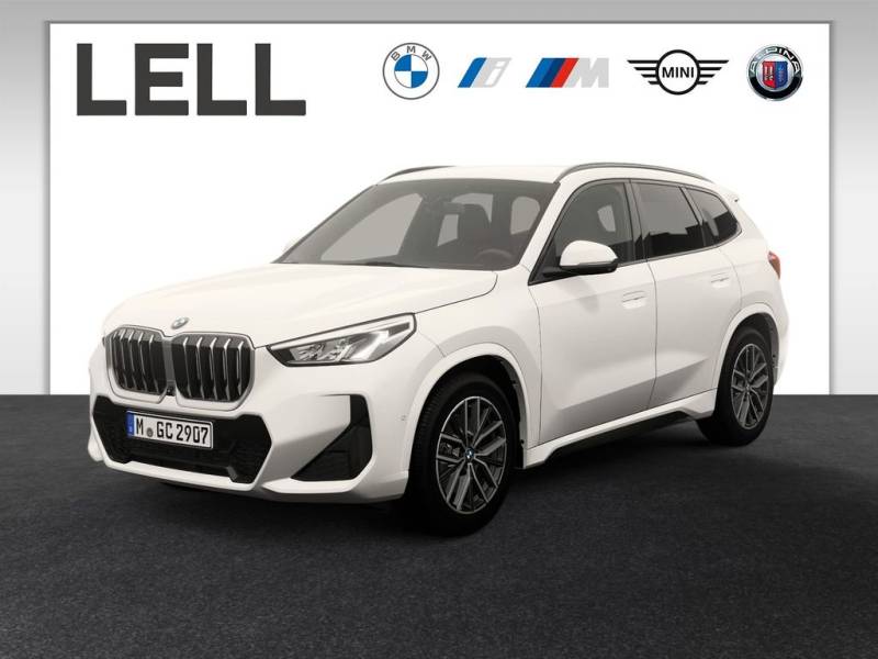 BMW X1 sDrive20i M Sportpaket DAB Parkassistent Shz