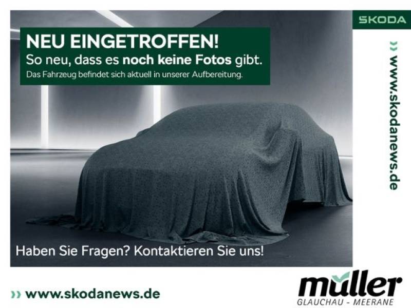 Skoda Scala Monte Carlo Matrix Kamera SmartLink