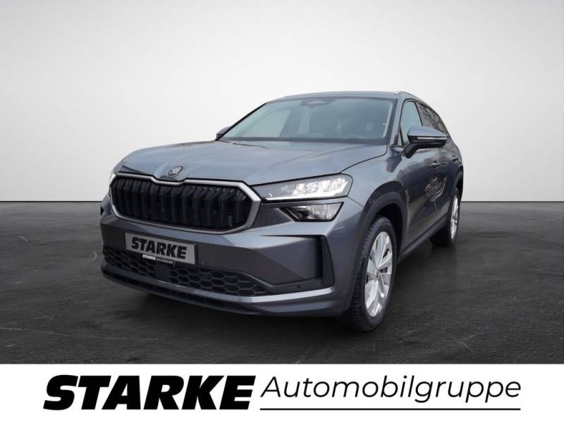Skoda Kodiaq 2.0 TDI DSG Selection AHK Navi LED Kamer