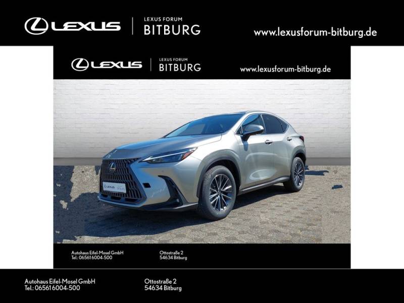 Lexus NX 350 h Executive /4x4/FLA/ParkAss.
