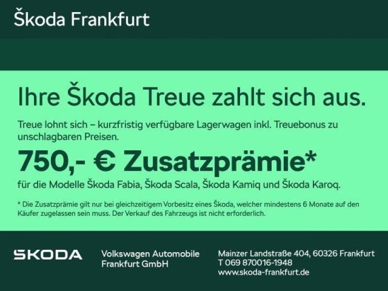 Skoda Karoq Tour 1,5 TSI 110 kW 7-Gang-DSG zzgl. 750€