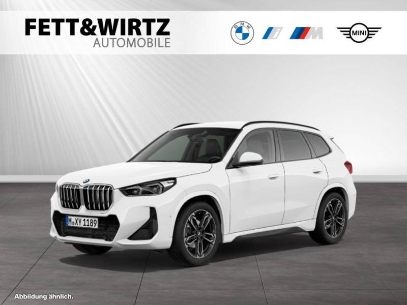 BMW X1 sDrive20i M Sport AHK-DrivingAss.+-Sitzheiz.