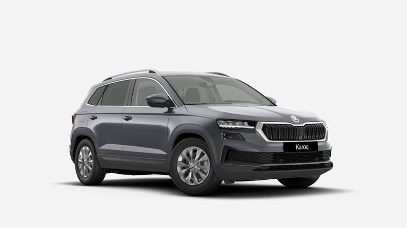Skoda Karoq 1.5 TSI ACT Selection Kamera Winterpaket