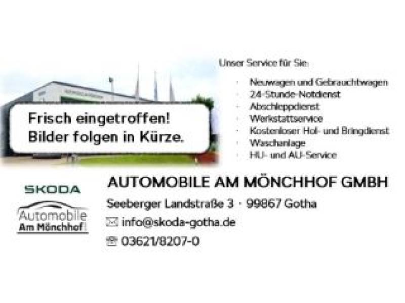 Skoda Karoq Selection AHK Navi Digitales Cockpit LED S