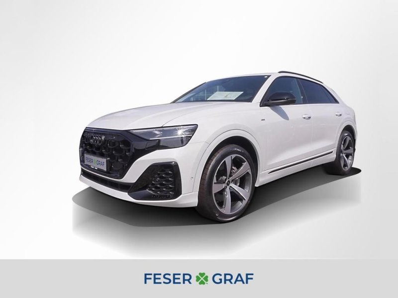 Audi Q8 SUV 55 TFSI e quattro 290(394) kW(PS) tiptron