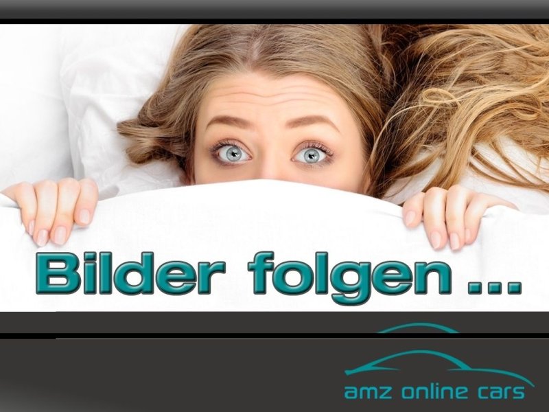 Ford Transit Custom DoKa Limited L2 Aut. Kamera*PDC*L