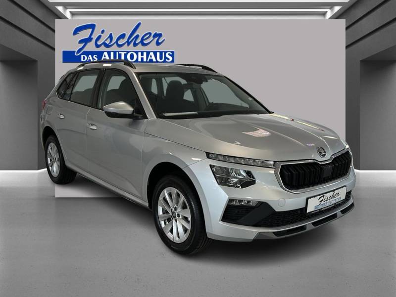 Skoda Kamiq Selection Winterpak. DSG Rückfahrkam.