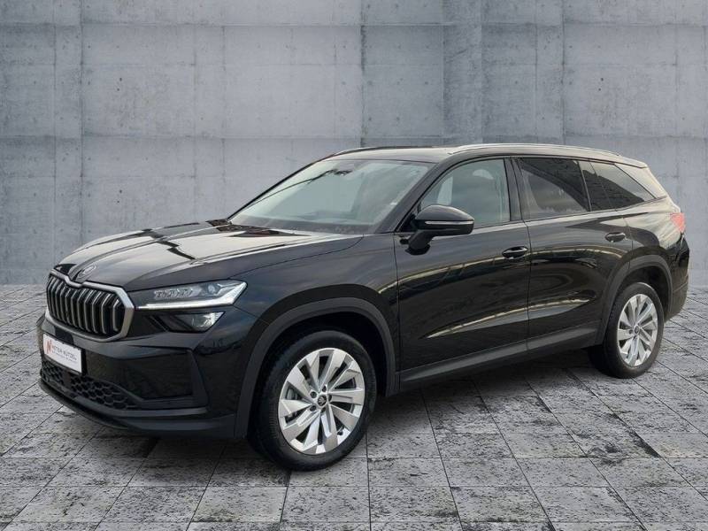 Skoda Kodiaq Selection 2,0 TDI 142 kW 4x4 Sandhzg AHK
