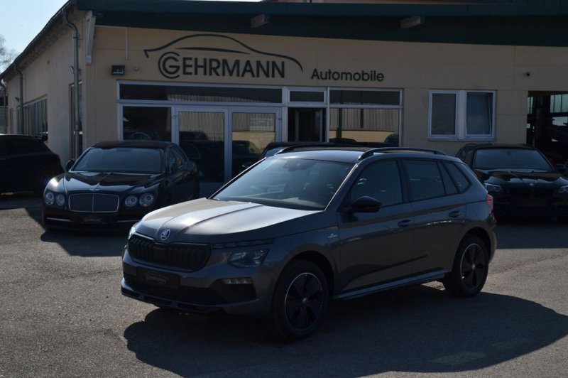 Skoda Kamiq 1,5 TSI DSG Monte Carlo*Kamera*View*Pano
