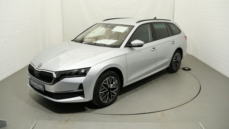 Skoda Octavia Combi 1.5 TSI Selection AHK PDC DAB