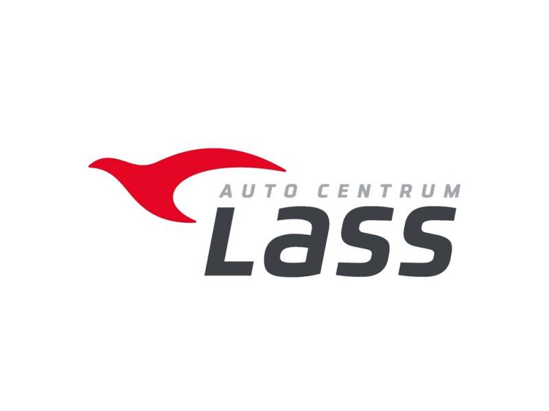 Toyota RAV4 2.5 Hybrid Business Edition +Klimaautomatik