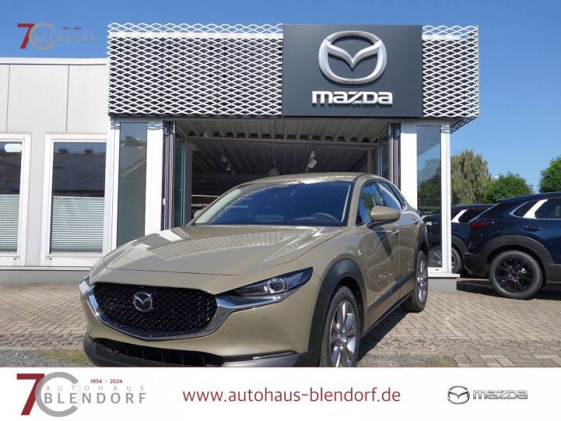 Mazda CX-30 Exclusive-Line 140 Automatik Matrix-LED-BO