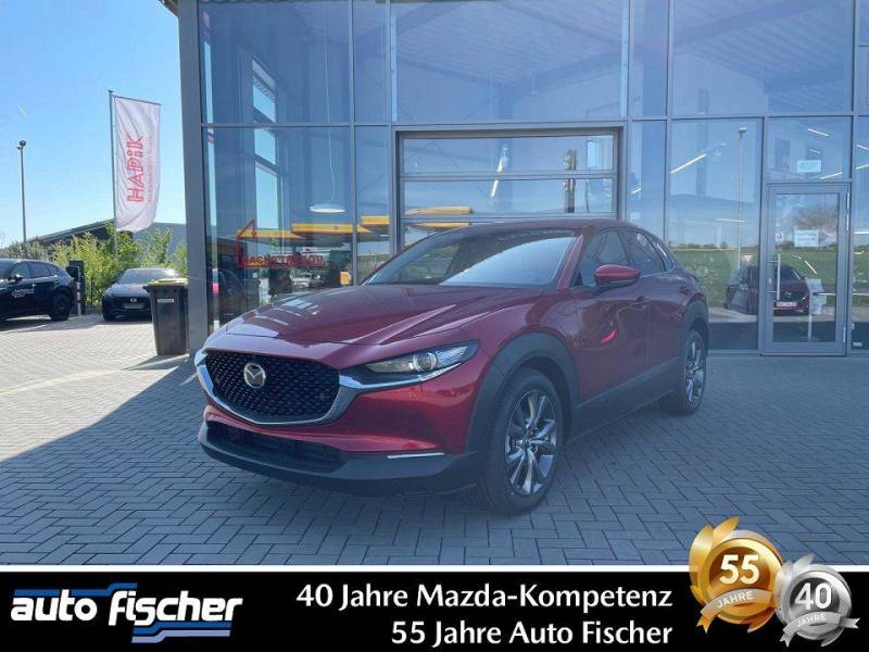 Mazda CX-30 2.5 (140PS) Autom. Exclusive-Line 360* Car