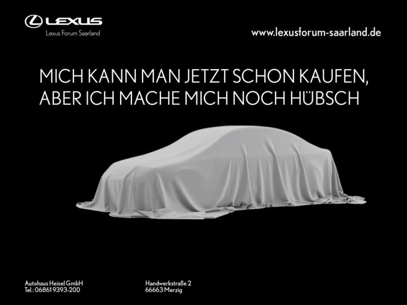 Lexus NX 450 h+ E-Four Business Line