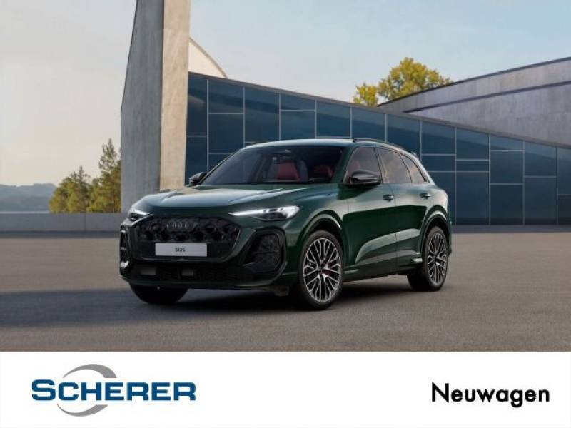 Audi SQ5 SUV TFSI 270 kW S tronic