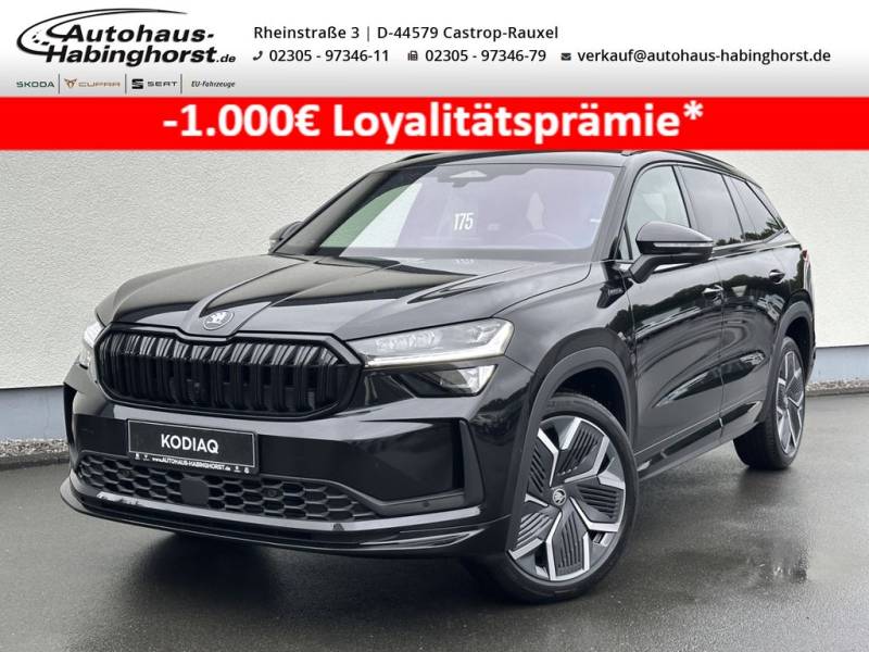 Skoda Kodiaq II 2.0 TSI DSG 4x4 Sportline AHK HeadUp M