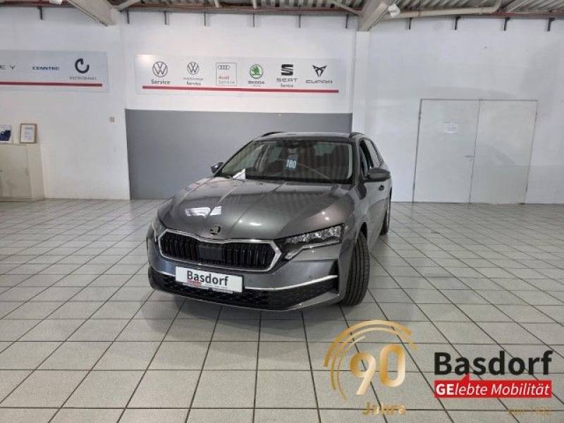 Skoda Octavia Klima Einparkhilfe Sitzheizung