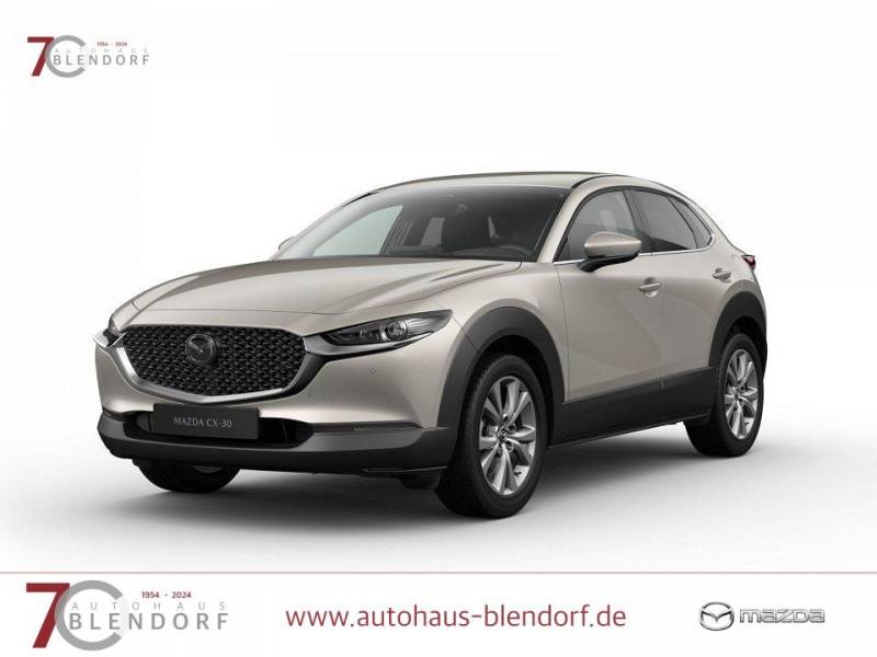 Mazda CX-30 Takumi 140 Automatik Leder-Matrix-LED-Navi