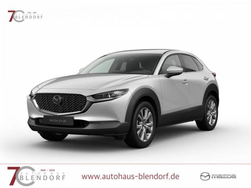 Mazda CX-30 Exclusive-Line 140 Automatik Matrix-LED-BO