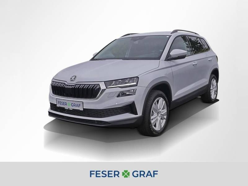 Skoda Karoq 1.5 TSI Selection DSG Navi RüKa Sitzh.