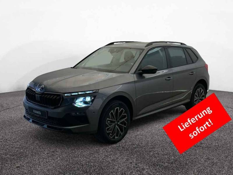 Skoda Kamiq Balance 1.5 TSI DSG AHK*CAM*ACC*BLACK*17"