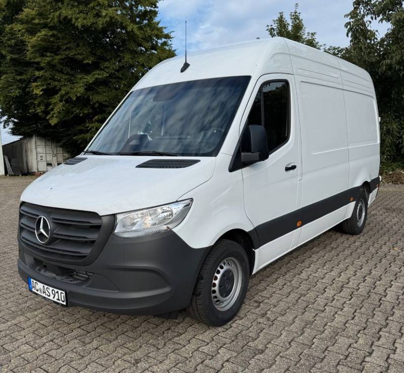 Mercedes-Benz Sprinter III Kasten 317 RWD