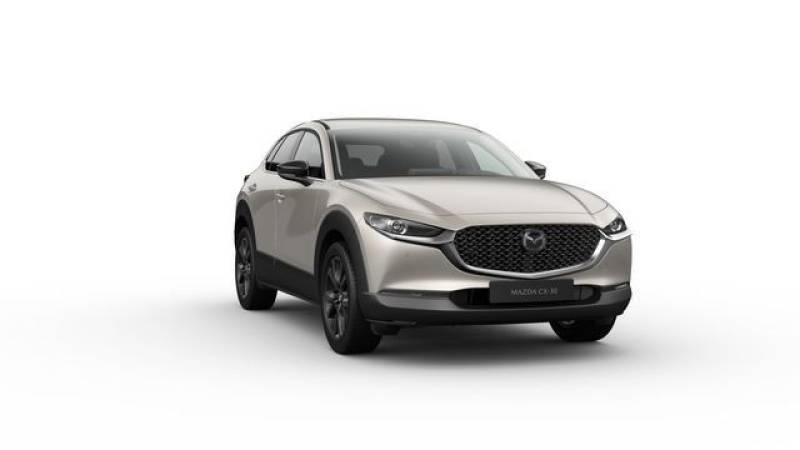 Mazda CX-30 Homura LED/Rückfahrkamera/Klimaauto./Head-