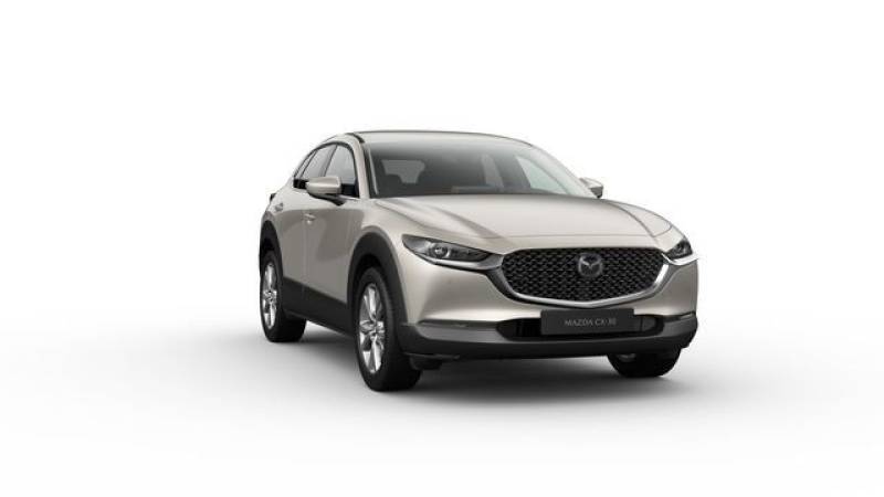 Mazda CX-30 Exclusive-Line 186 PS *Bose*Kamera*Navi*Ne