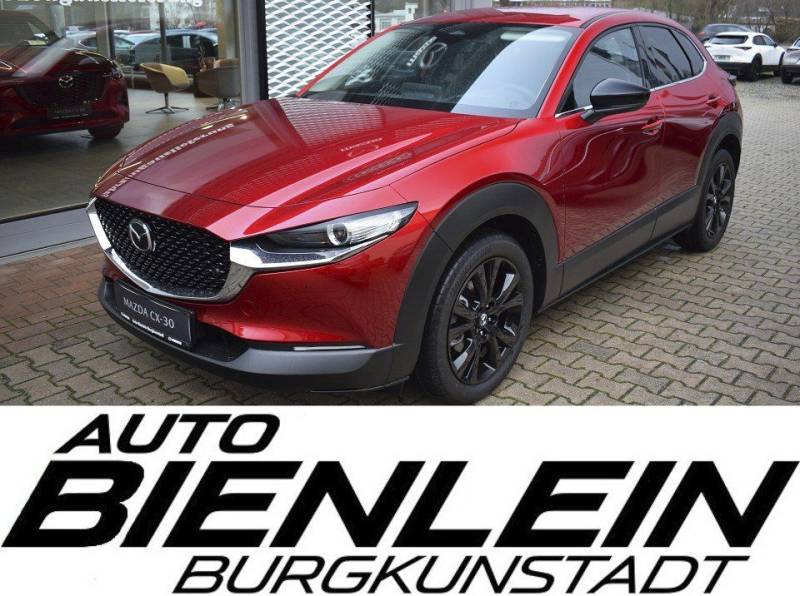 Mazda CX-30 2.5 140PS Homura Voll-LED Navi Kamera elek