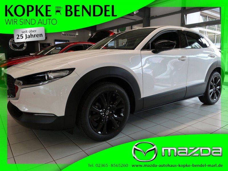 Mazda CX-30 2.5L *140PS*SITZHEIZUNG*EL. HECKKLAPPE* HO