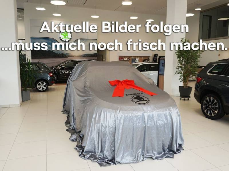 Skoda Elroq 50 Tour CLEVER NAVI LED PDC ACC SHZ RFK