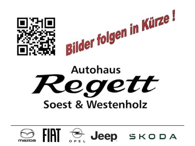 Skoda Karoq Tour*Fahrassistenz Plus*Infotainment*varia