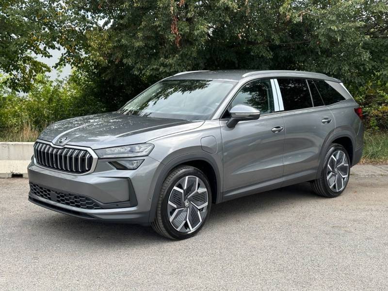 Skoda iV Exclusive Leder NAVI DCC eHK LM20"AHK