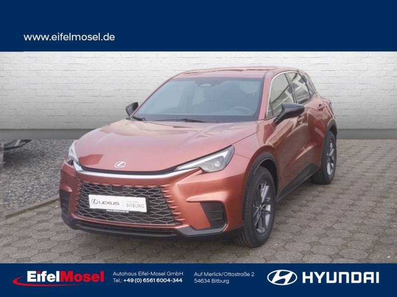 Lexus LBX Basis Komfort-Paket *Navi*RFK* /LED/KlimaA