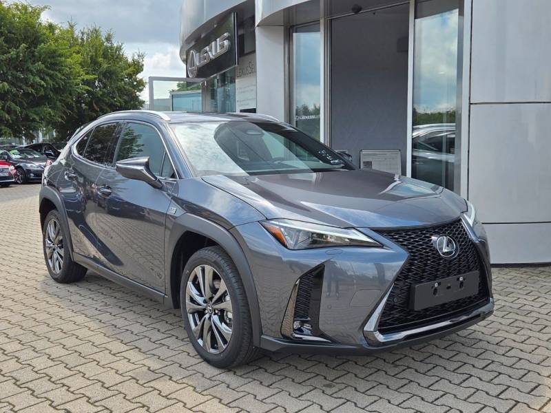Lexus UX 300h F Sport Design ACC FLA SpurH LM