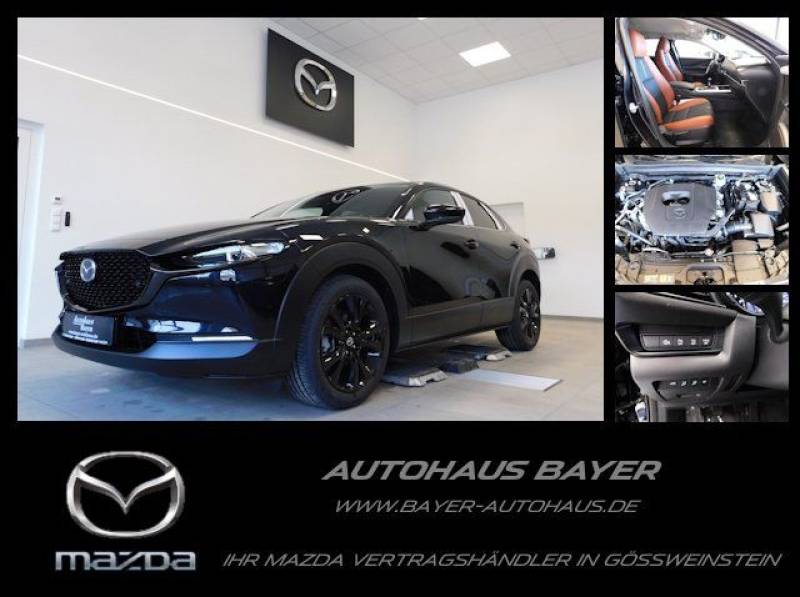 Mazda CX-30 2.5L e-SKY G 140ps Nagisa /Navi/Met/PDC/Al