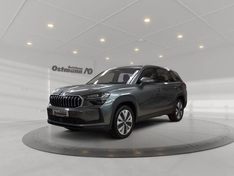 Skoda Kodiaq 2.0 TDI DSG 4x4 193 PS AHK PANO LED NAVI