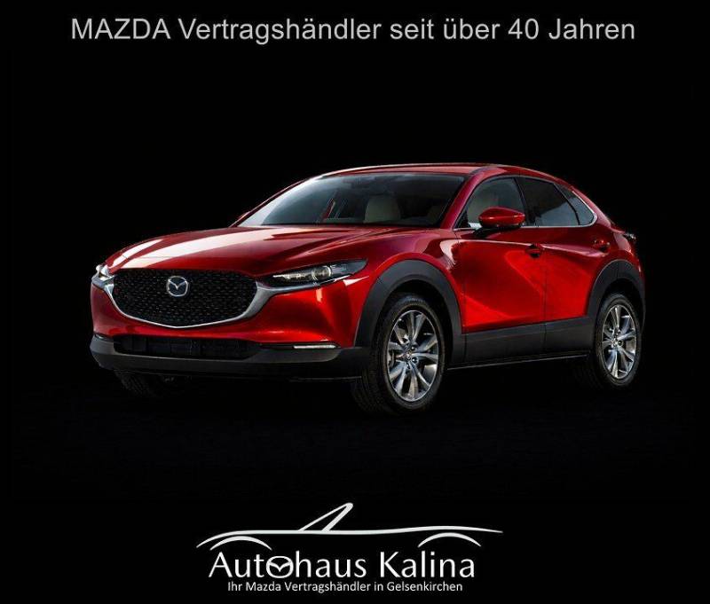 Mazda CX-30 2.5L e-SKYACTIV G 140ps 6MT FWD NAGISA