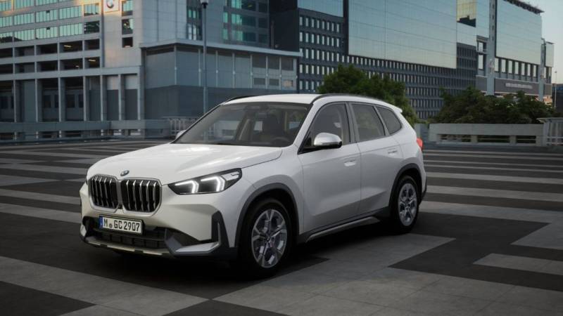 BMW X1 xDrive20d xLine ACC SpurAss AHK HiFi Navi RFK