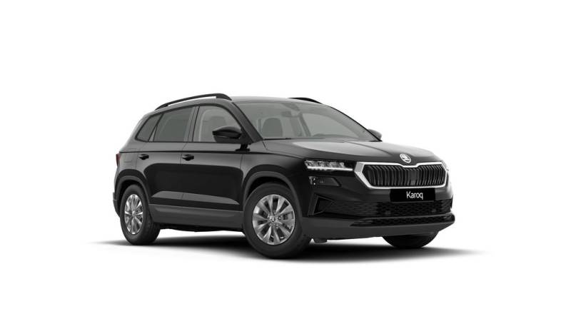 Skoda Karoq Selection RFK-LED-Carplay-Klima-PDC-SHZ...